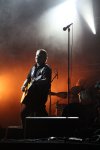 image 13_elwood_TS_001.jpg