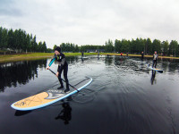 SUP-lautailua Linnunlahdella. Kuva: Jarmo Laine.
