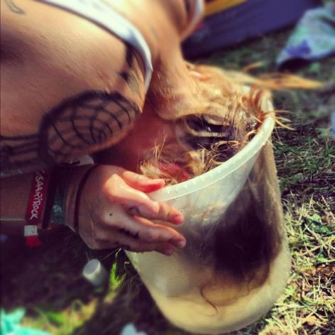 Vuonna 2013 helle yllätti, ja viilennystä haettiin vesiämpäristä.