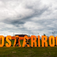 Iloiset siskokset. Kuva: Janina Joutsen