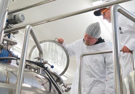 Ilosaarirock 2017: Rokkiolut