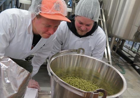 Ilosaarirock 2017: Rokkiolut